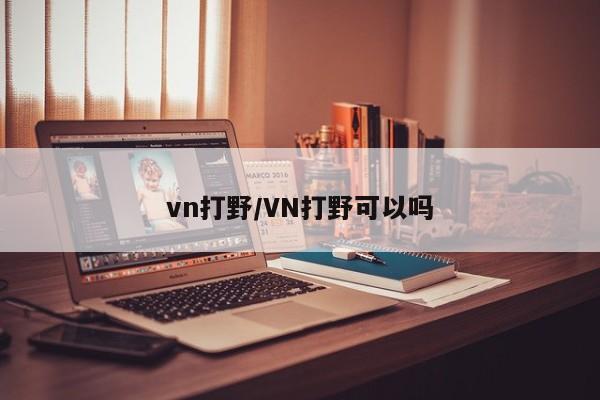 vn打野/VN打野可以吗