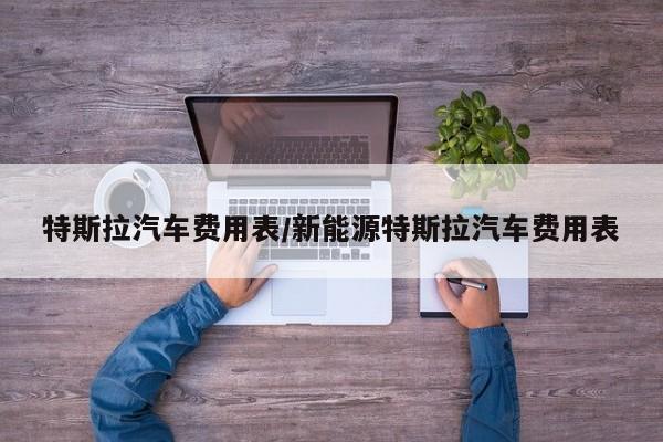 特斯拉汽车费用表/新能源特斯拉汽车费用表