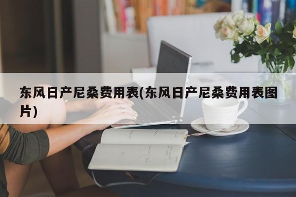 东风日产尼桑费用表(东风日产尼桑费用表图片)